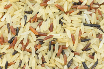 tas de mélange de trois riz cru, en gros plan