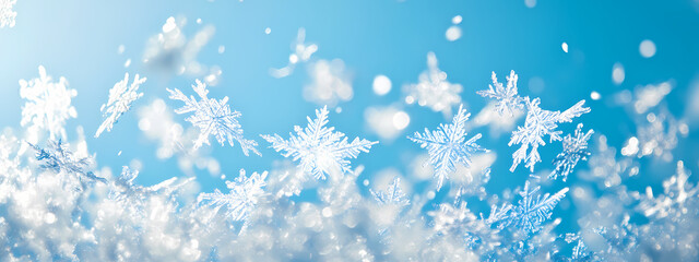 Snowflakes Falling in the Blue Frost