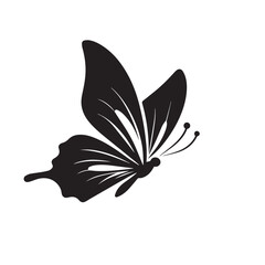 Butterfly silhouette. Butterfly logo vector design isolated on white background.