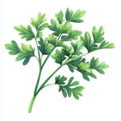 Fresh green parsley leaves showcasing vibrant color and detail, perfect for culinary or gardening themes.