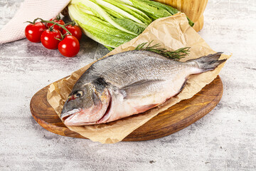 Raw dorada fish served rosemary