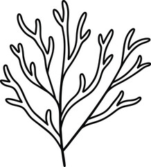 Beautiful Coral Branch with Graceful Lines Kids Coloring Illustration
