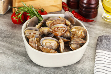 Raw vongole clams for cooking