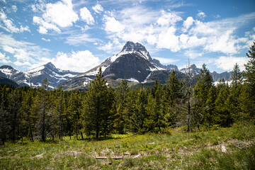 Grinnell Lake trail path way surround by the mountain and wild flower. Glacier national park, Montana, USA. 