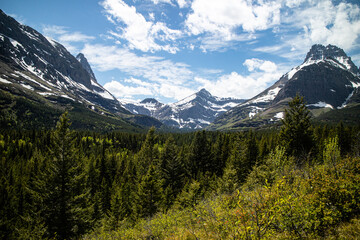 Obraz premium Grinnell Lake trail path way surround by the mountain and wild flower. Glacier national park, Montana, USA. 
