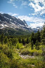 Grinnell Lake trail path way surround by the mountain and wild flower. Glacier national park, Montana, USA. 