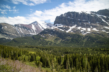 Fototapeta premium Grinnell Lake trail path way surround by the mountain and wild flower. Glacier national park, Montana, USA. 