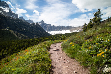 Obraz premium Grinnell Lake trail path way surround by the mountain and wild flower. Glacier national park, Montana, USA. 