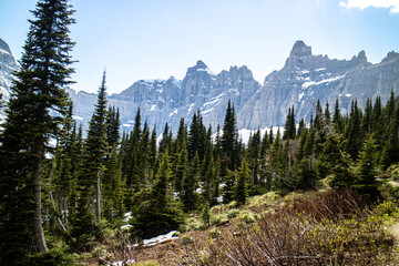 Obraz premium U shape valley on the way to iceberg lake at the glacier national park, Montana, USA. 