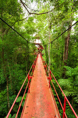 Bridge to the jungle,Trang,Thailand