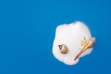 Seashell on sand isolated on blue background, vacation concept, copy space