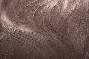 Blond hair close-up as a background. Women's long light brown hair. Beautifully styled wavy shiny curls. Hair coloring. Hairdressing procedures, extension.