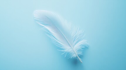 Single white feather on a blue background.