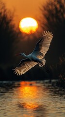 Fototapeta premium A serene scene of a bird gracefully flying over a peaceful lake during a stunning sunset, showcasing nature's beauty and tranquility.