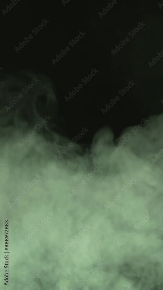 Wall mural Smoke over black background. Fog or steam abstract dark texture pattern. Vertical, black background.