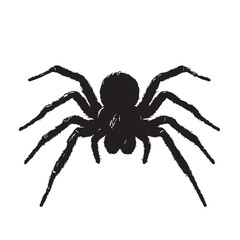 Obraz premium Spider in cartoon, doodle style . Image for t-shirt, web, mobile apps and ui. Isolated 2d vector illustration in logo, icon, sketch style, Eps 10, black and white. AI Generative