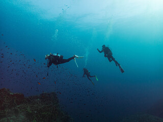 Paisaje submarino mediterraneo con buceadores en la costa brava