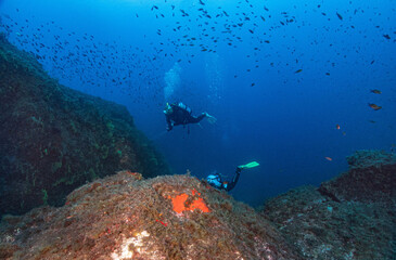 Paisaje submarino mediterraneo con buceadores en la costa brava