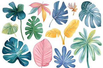 Set of tropical colorful hand drawn watercolor leaves isolate don white	