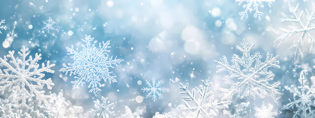 Frosty Winter Wonderland