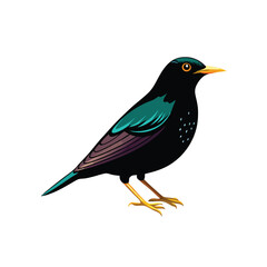 Obraz premium a Beautiful Starling bird silhouette vector art illustration, isolated white background, 