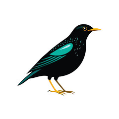 Obraz premium a Beautiful Starling bird silhouette vector art illustration, isolated white background, 