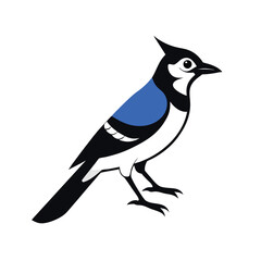 Fototapeta premium a blue jay, silhouette vector art illustration, isolated white background 