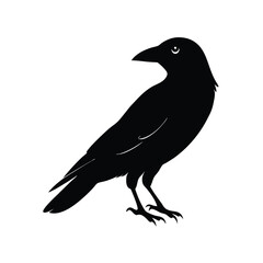 Fototapeta premium a flat crow silhouette vector art illustration, isolated white background,