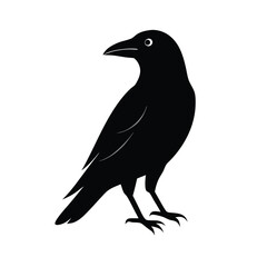 Obraz premium a flat crow silhouette vector art illustration, isolated white background,
