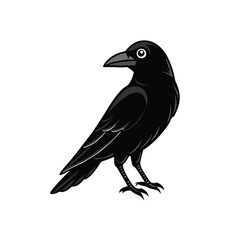 a flat crow silhouette vector art illustration, isolated white background,