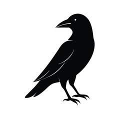Fototapeta premium a flat crow silhouette vector art illustration, isolated white background,