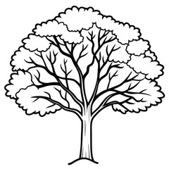 Obraz premium hickory tree outline coloring book page line art drawing