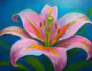 Beautiful Pink Lily Flower Closeup Illustration