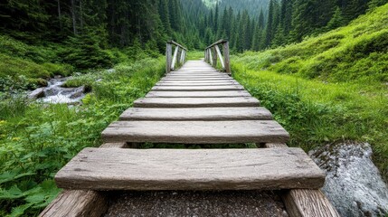 Wooden Bridge Leading Through Forest.