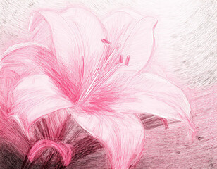 Beautiful Pink Lily Flower Closeup Illustration