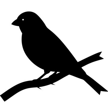 recommend clip art: finch bird silhouette vector black animal birds 