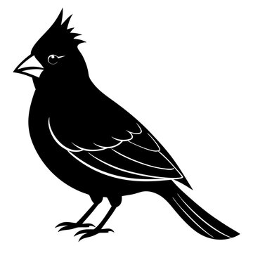 recommend clip art: vector cardinal silhouette animal black bird on white background