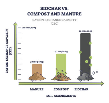 Biochar vs compost and manure cation exchange capacity or CEC outline diagram. Labeled scheme with soil ability to hold or exchange cations vector illustration. Millequivalents or meq amount in soil.