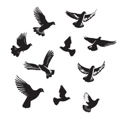 Vector illustration: silhouette of flying birds doves on a white background