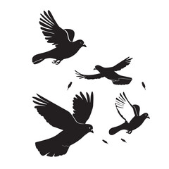 Vector illustration: silhouette of flying birds doves on a white background