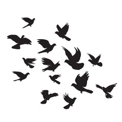 Vector illustration: silhouette of flying birds doves on a white background