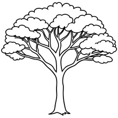 jacaranda tree outline coloring book page line art drawing