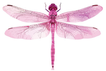 Dragonfly Pink Pattern Clipart Isolated on White Background