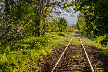 Obraz premium railway tracks in backlight near Otovice, Eastern Bohemia, Czech Republic