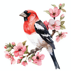 Grosbeak Floral Hand-drawn Watercolor Illustration