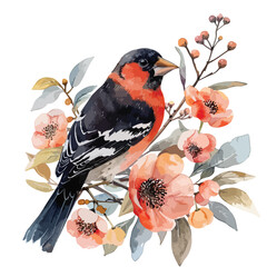 Grosbeak Floral Hand-drawn Watercolor Illustration