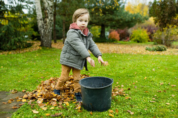 Cute little boy playing with a garden rake on late autumn day. Three years old child helping with chores.