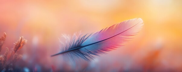 Naklejka premium single feather with soft bokeh background