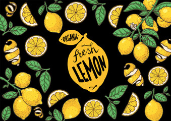 Lemon fruit hand drawn design. Vector illustration. Design, package, brochure illustration. Lemon fruit frame illustration. Design elements for packaging design and other.