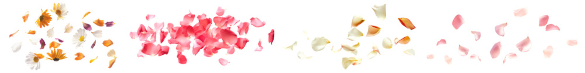 PNG falling flower petals set
